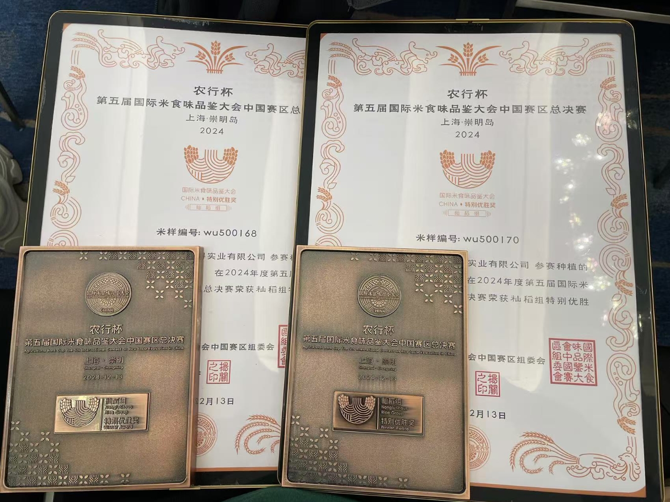 微信截图_20241214103704.png